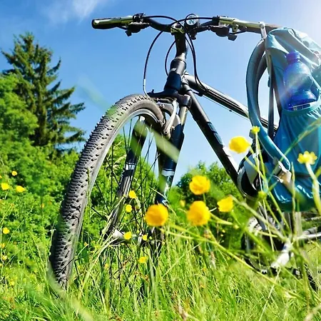 Apartament On The Banks Of The Moselle *